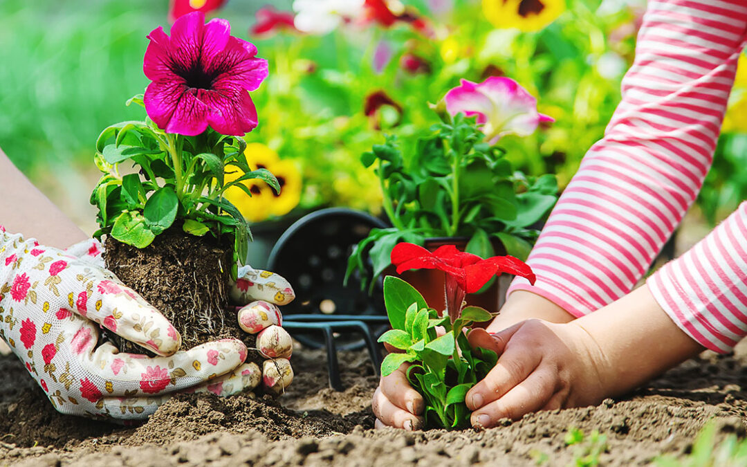 Spring Garden Tips: Where to Start When Your Garden Wakes Up